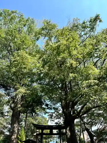 岩崎神社の鳥居