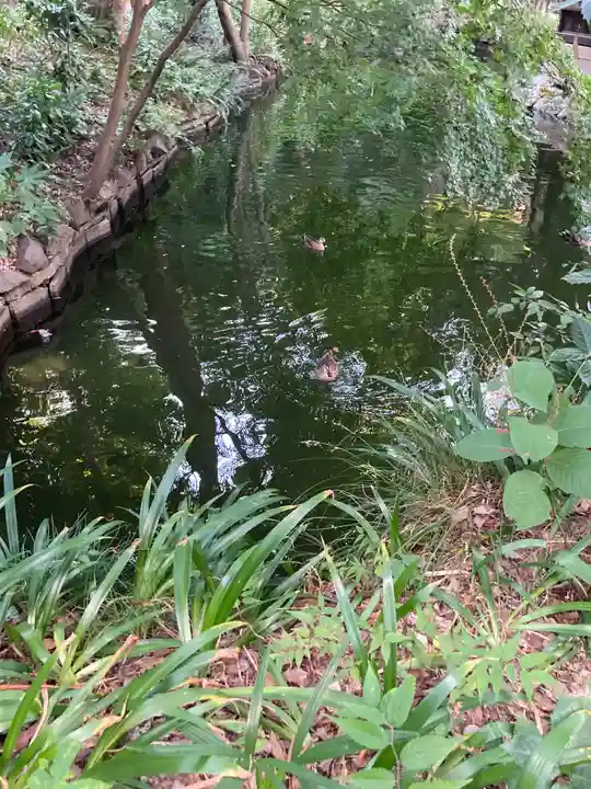 井の頭弁財天(大盛寺)(東京都)