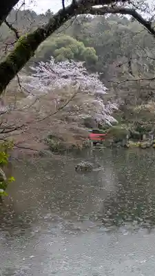 醍醐寺(京都府)
