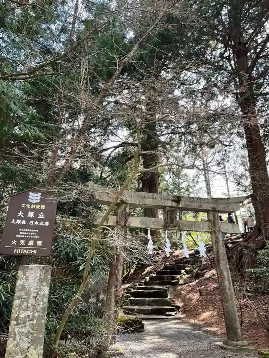 北口本宮冨士浅間神社の鳥居