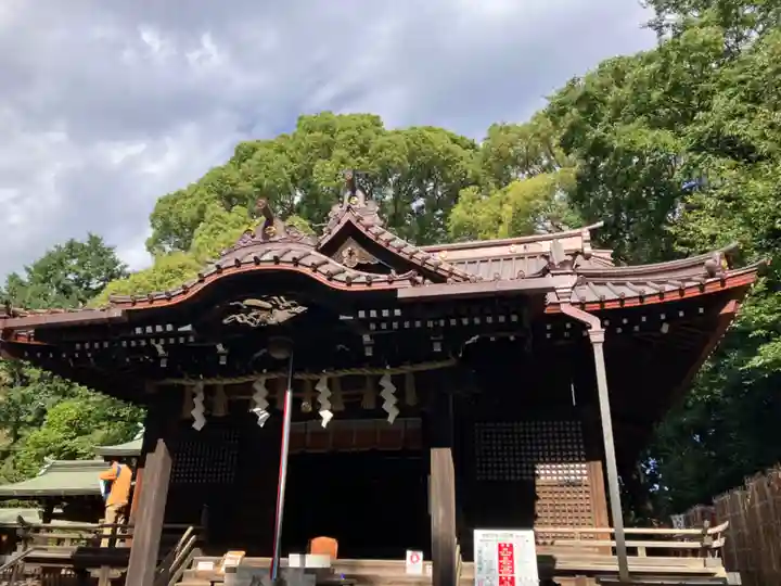 代々木八幡宮の本殿・本堂