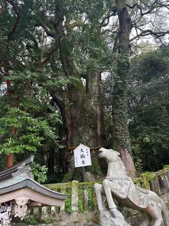 八幡朝見神社の自然