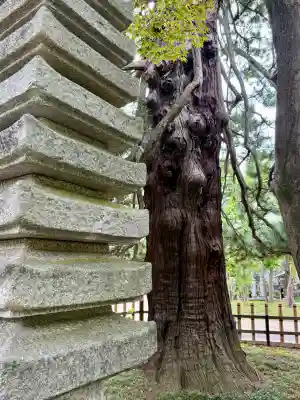 香福寺(神奈川県)