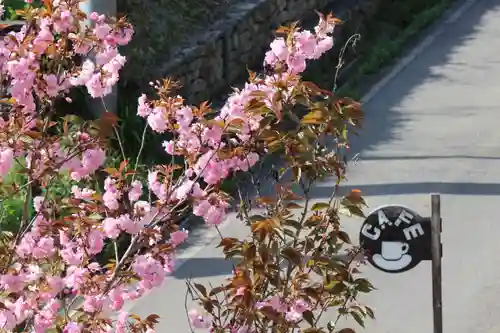 国宝 大法寺(長野県)