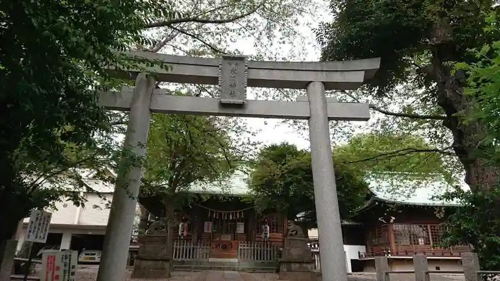 本郷氷川神社の鳥居
