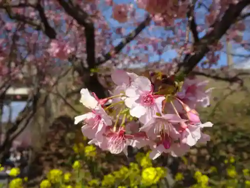 阿邪訶根神社(福島県)