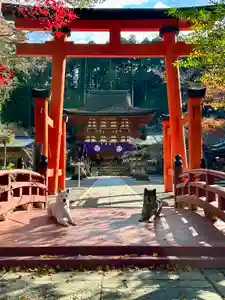 丹生都比売神社(和歌山県)(2024年12月29日(日) 19時39分36秒投稿)