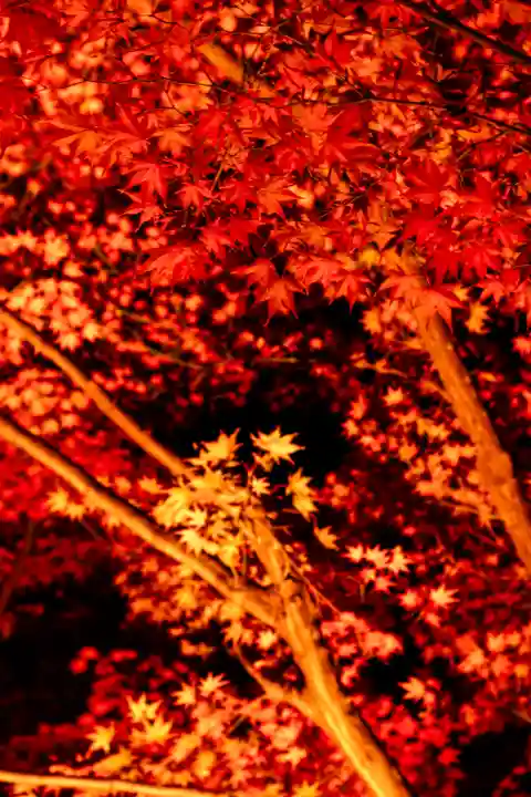 北野天満宮(京都府)