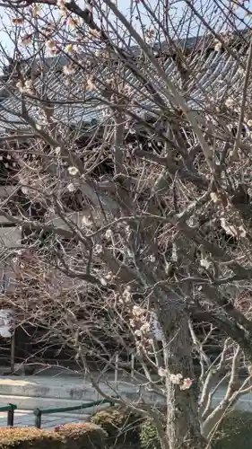 西光寺(滋賀県)