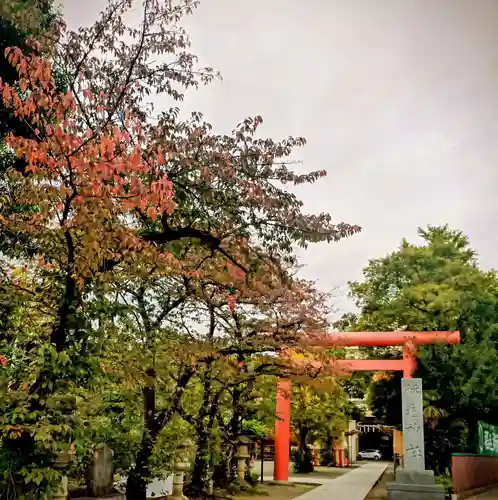 稲毛神社(神奈川県)
