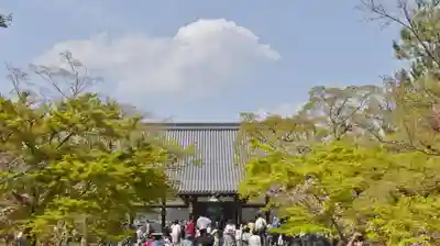 仁和寺の本殿・本堂