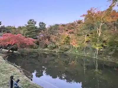 高台寺（高台寿聖禅寺・高臺寺）(京都府)