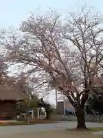 伏木香取神社の景色