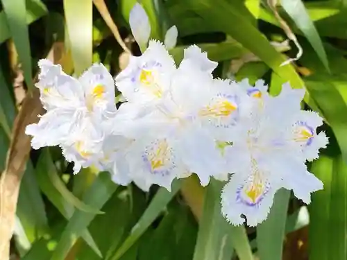 西方山極楽寺(岐阜県)