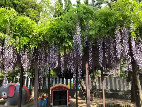 荒井神社の庭園