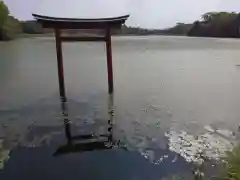 薦神社(大分県)