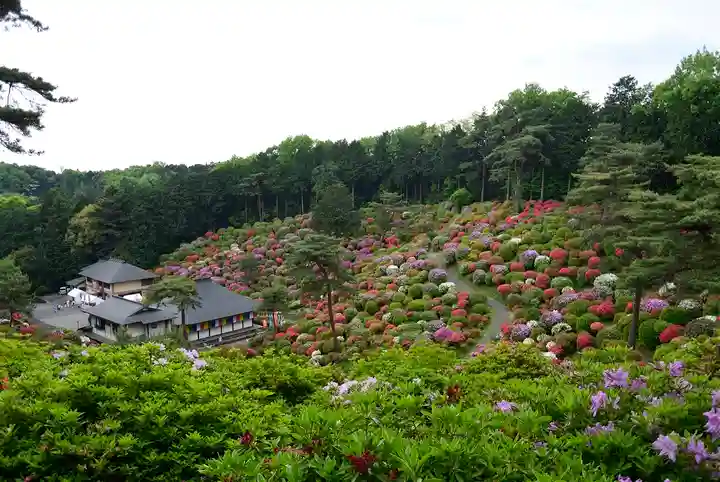 塩船観音寺の庭園
