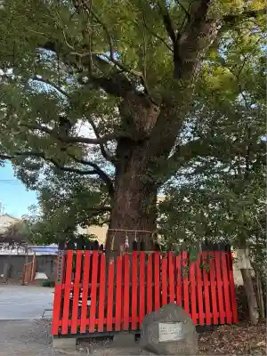 石田神社(大阪府)