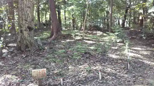 鎌田神明宮の自然