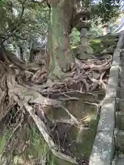 平潟八幡神社(茨城県)