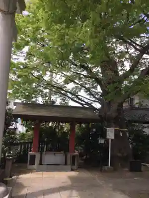 前川神社の手水舎