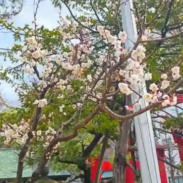 彌彦神社　(伊夜日子神社)の自然