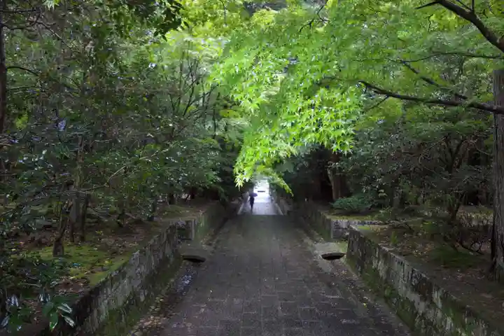 雲興寺(愛知県)