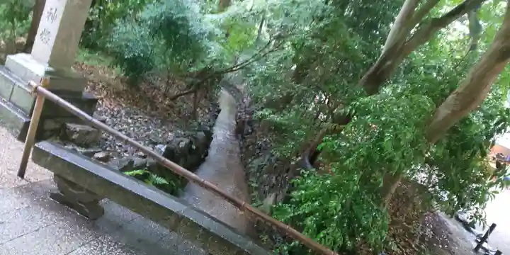 賀茂御祖神社(下鴨神社)の周辺