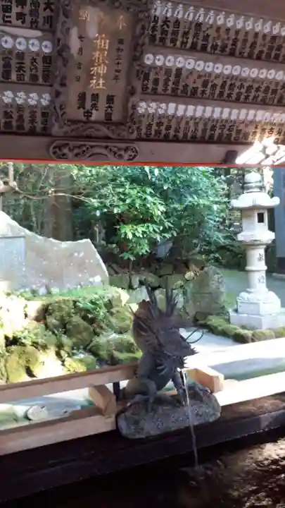 箱根神社の手水舎