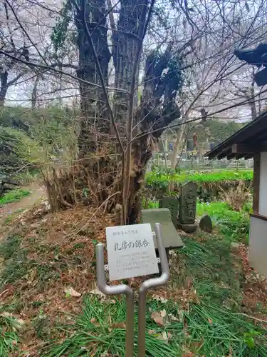 珊瑚寺(群馬県)