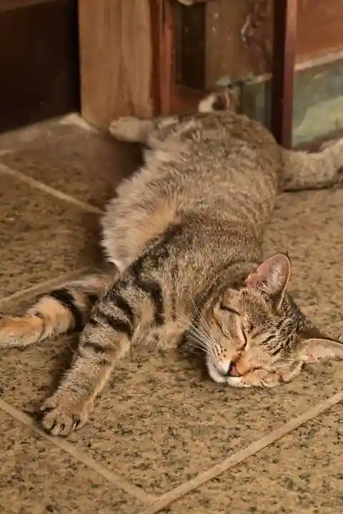 王子神社(徳島県)