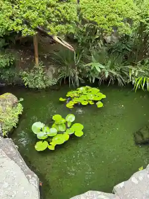 報国寺(神奈川県)