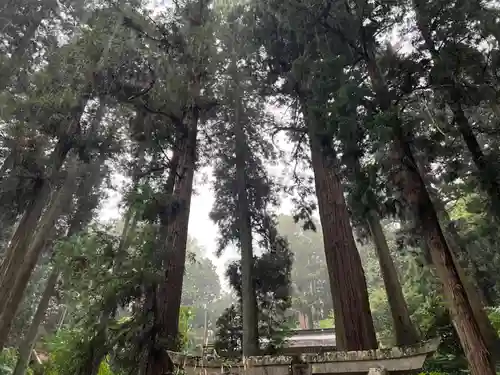 大宮温泉神社(栃木県)