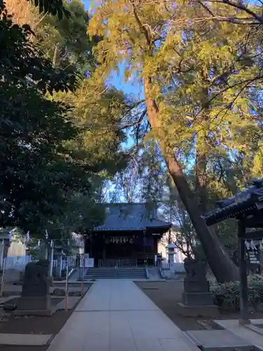 前野熊野神社(東京都)