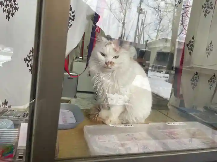 阿邪訶根神社(福島県)