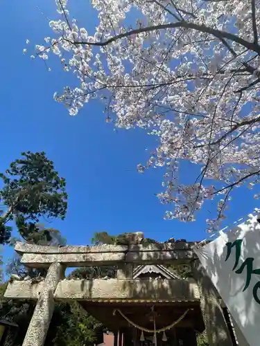 クスの森若宮神社(山口県)