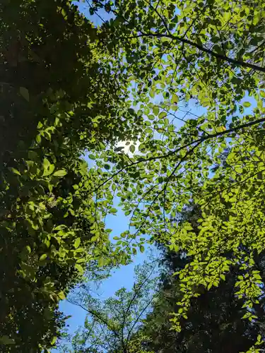 尾張冨士大宮浅間神社の自然