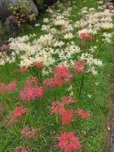 横浜　西方寺(神奈川県)