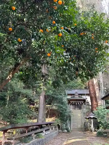 根小屋諏訪神社(神奈川県)