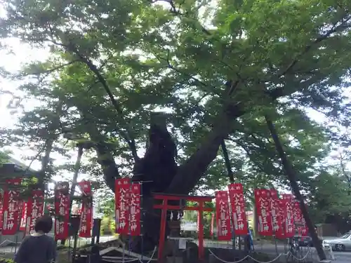 秩父今宮神社の自然