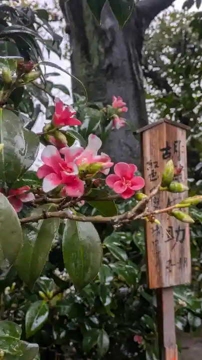 城南宮(京都府)