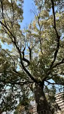 呉服神社(大阪府)