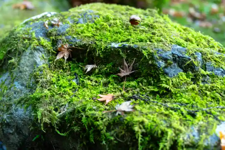 貴船神社奥宮(京都府)
