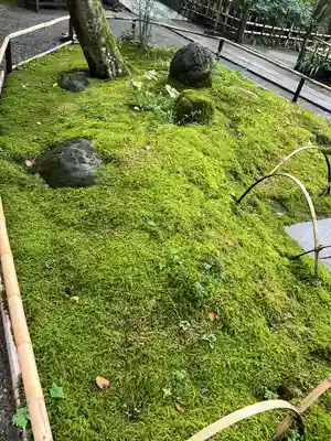 明月院(神奈川県)