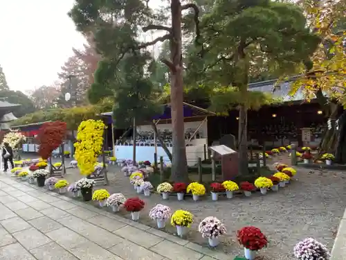 笠間稲荷神社の庭園