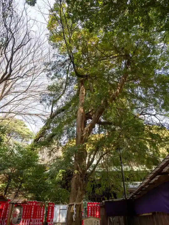大宮八幡宮の{uncategorized: "未分類", other: "その他", undefined: "問題あり", building: "その他建物", grave: "お墓", sacred_gate: "鳥居", guardian: "狛犬", statue: "像", buddha: "仏像", history: "歴史", nature: "自然", garden: "庭園", animal: "動物", pagoda: "塔", temizu: "手水舎", mountain_gate: "山門・神門", sanctuary: "本殿・本堂", subordinate: "末社・摂社", art: "芸術", scenery: "景色", jizo: "地蔵", ema: "絵馬", goshuin: "御朱印", omikuji: "おみくじ", items: "授与品その他", amulet: "お守り", goshuincho: "御朱印帳", eats: "食事", festival: "お祭り", votive_dance: "神楽", shichigosan: "七五三参", wedding: "結婚式", experience: "体験その他", initially: "初詣", around: "周辺", anti_infection: "感染症対策"}