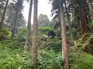 大宮温泉神社(栃木県)(2023年07月15日(土) 08時12分25秒投稿)