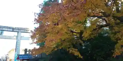 敷地神社（わら天神宮）のその他建物