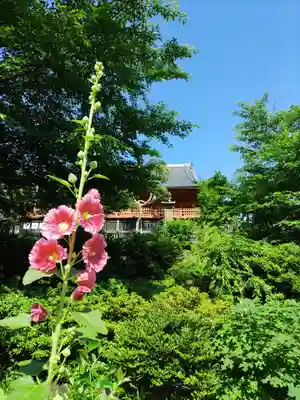 清水観音堂のその他建物