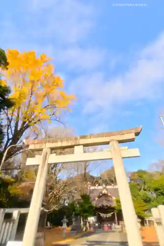 玉敷神社(埼玉県)